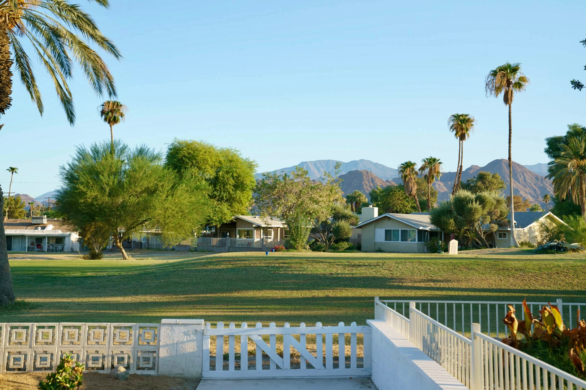 mountain_view_palm_desert